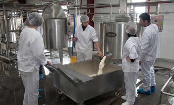 წალკის მუნიციპალიტეტში, რძის გადამამუშავებელი ახალი საწარმო „ვიტა პროდუქტი“ 