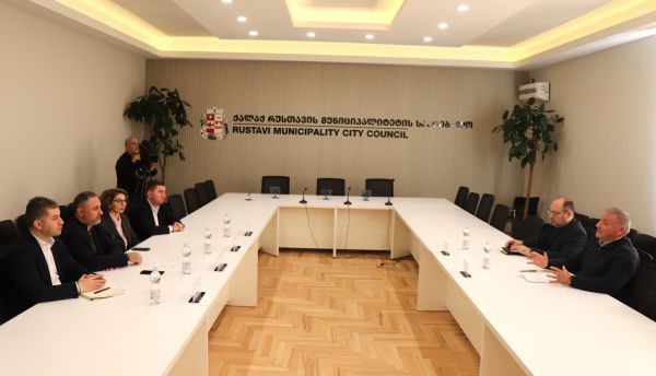 Встреча в городском совете Рустави