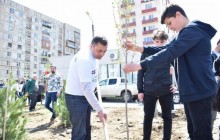  გამწვანების აქცია რუსთავში