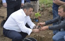ბოლნური ღვინის გზა და მევენახეობა-მეღვინეობის ისტორია