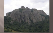 ბირთვისი