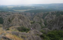 ბირთვისი