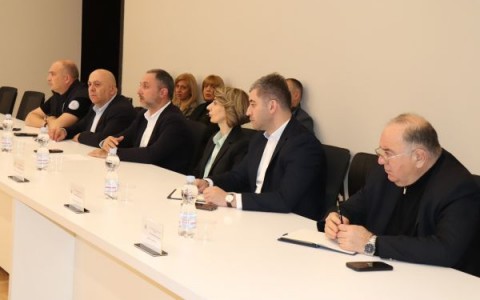 შეხვედრა რუსთავის საკრებულოში